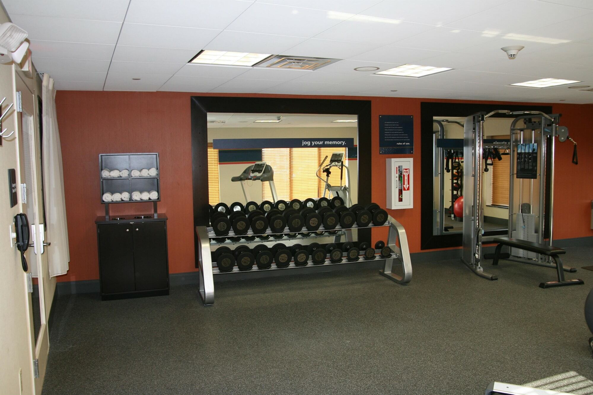 Hampton Inn Jericho - Westbury Fasiliteter bilde