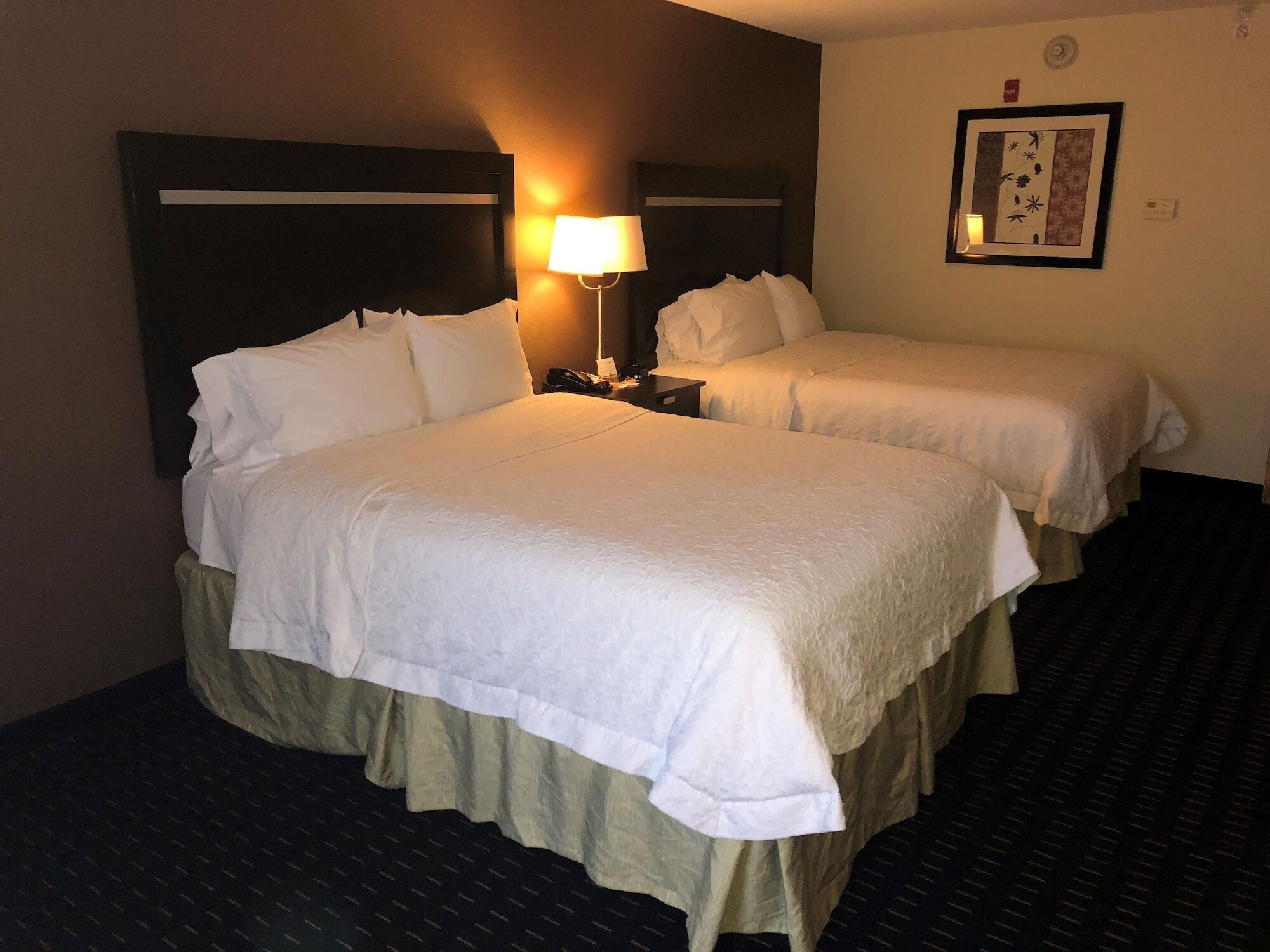 Hampton Inn Jericho - Westbury Eksteriør bilde